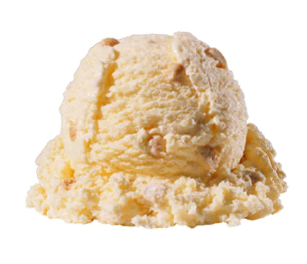 no sugar added butter pecan
