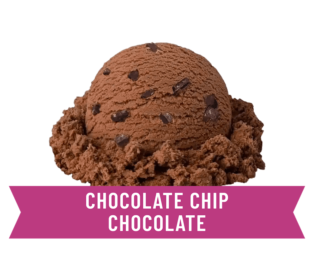 premium chocolate chip chocolate