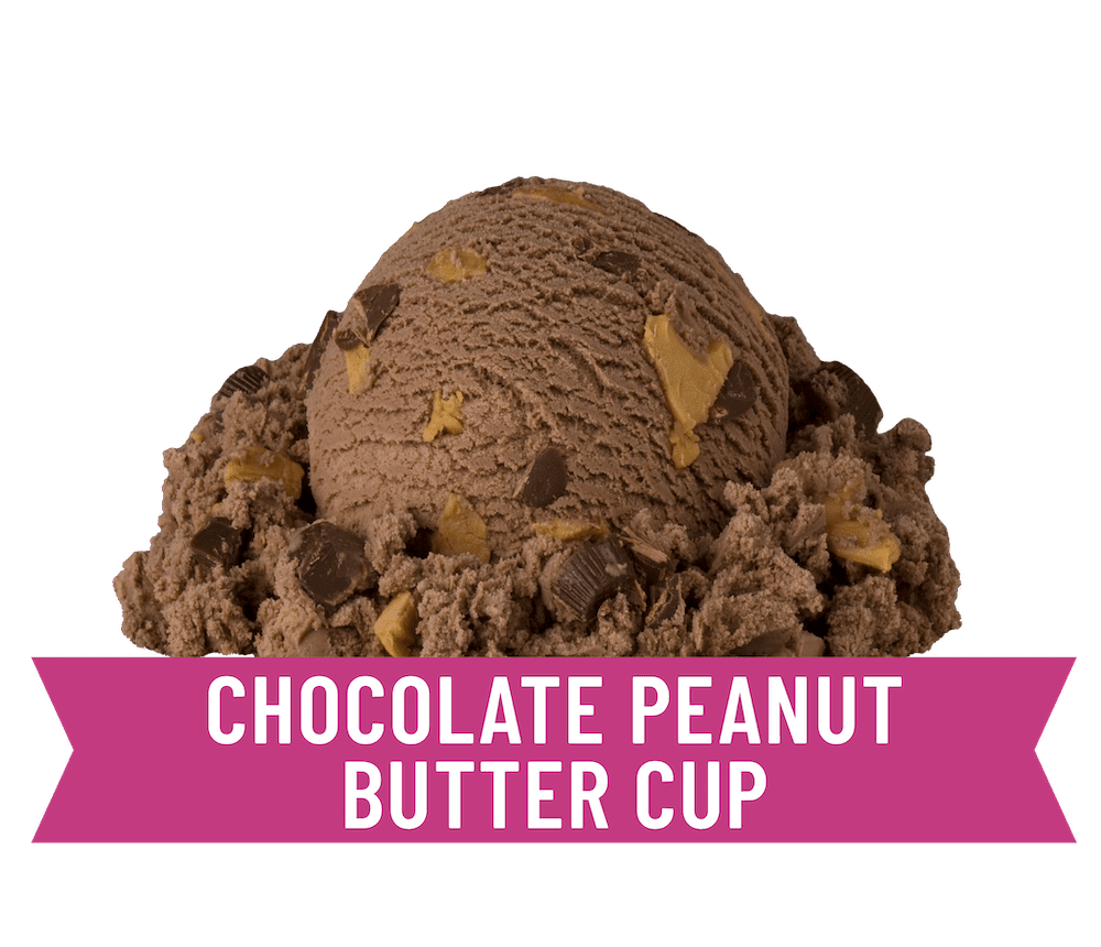 chocolate peanut butter cup frozen yogurt