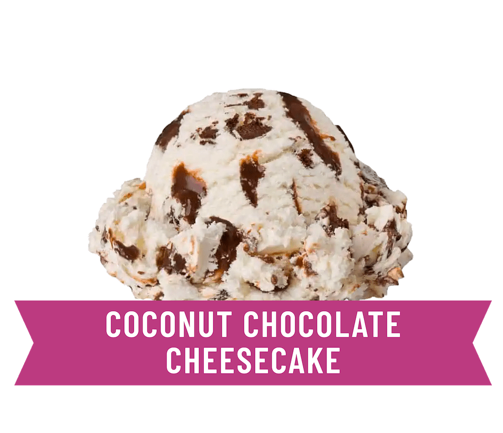 premium coconut chocolate cheesecake