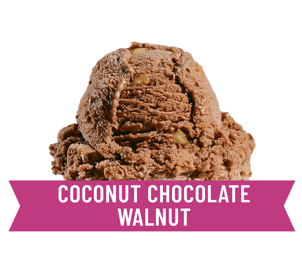 coconut chocolate walnut frozen yogurt