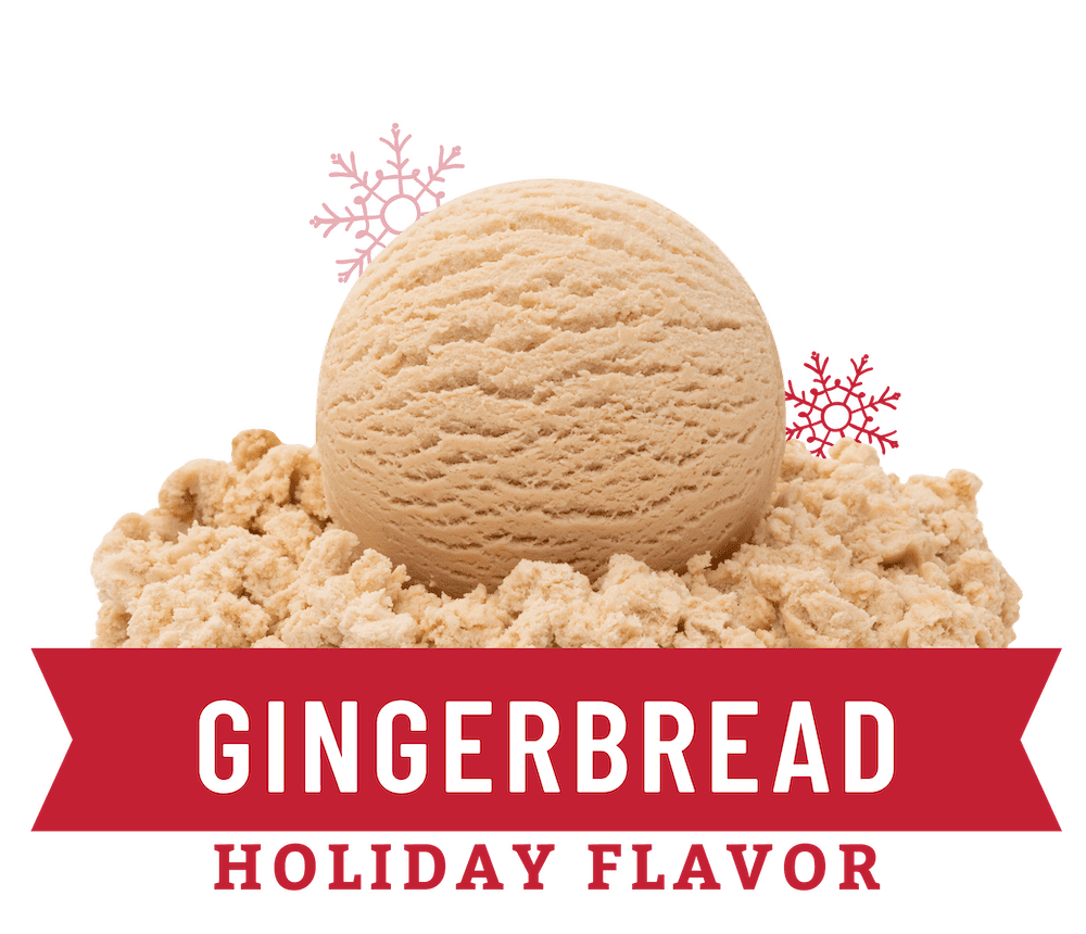 holiday premium gingerbread ice cream